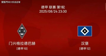 8.24 德甲联赛:门兴vs汉堡比赛分析